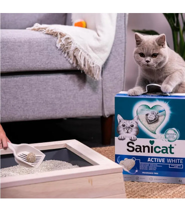 Sanicat Arena Aglomerante Active White 6L